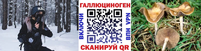 Галлюциногенные грибы Magic Shrooms  Купить закладки  Тавда 